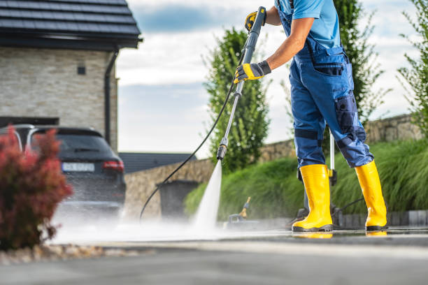 Best Roof Cleaning and Mildew Removal in Mathis, TX